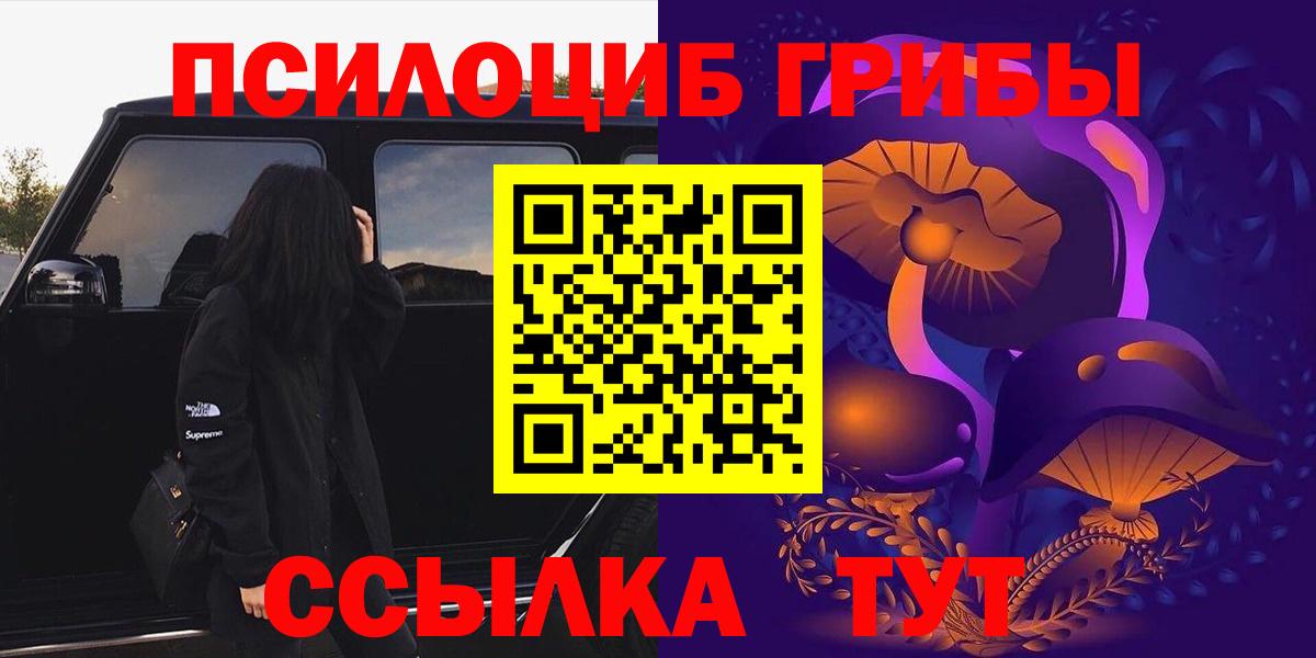 Псилоцибиновые грибы MAGIC MUSHROOMS  Вход с VPN  Зеленогорск  Галлюциногенные грибы прущие грибы 